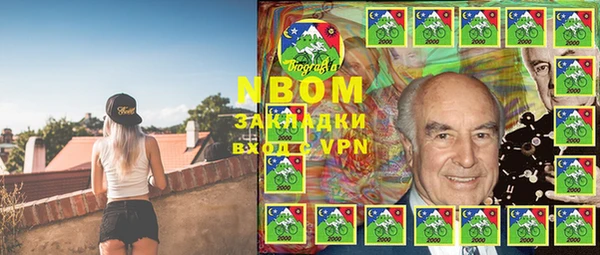 apvp Алексин
