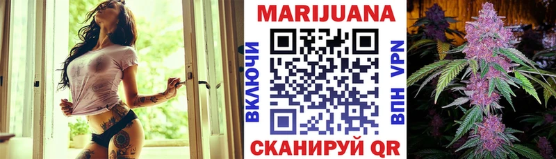Бошки марихуана сатива  darknet телеграм  Амурск 